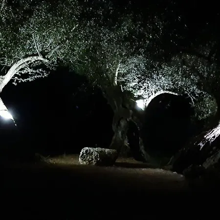 Il Veliero * فيسكاردو